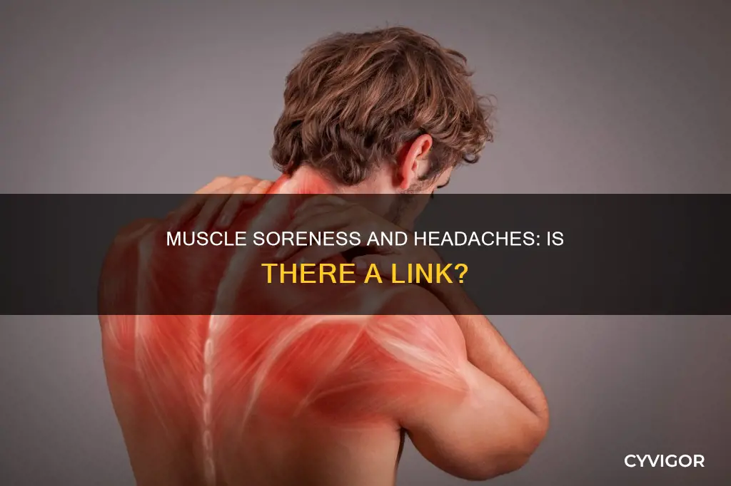 can muscle soreness cause headaches