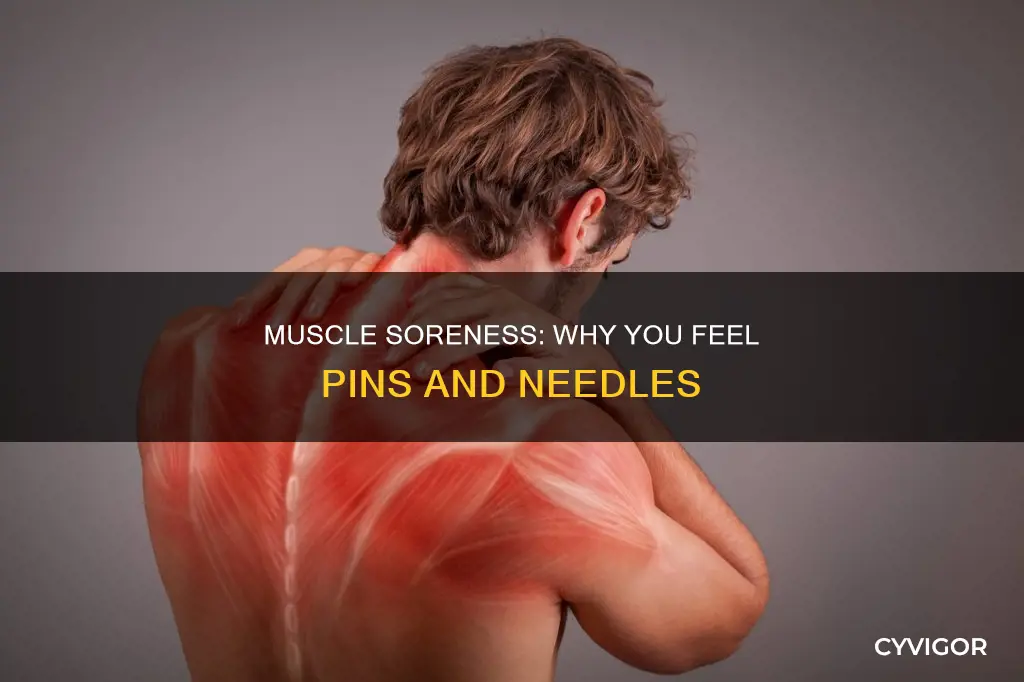 can muscle soreness cause pin and needle feeling