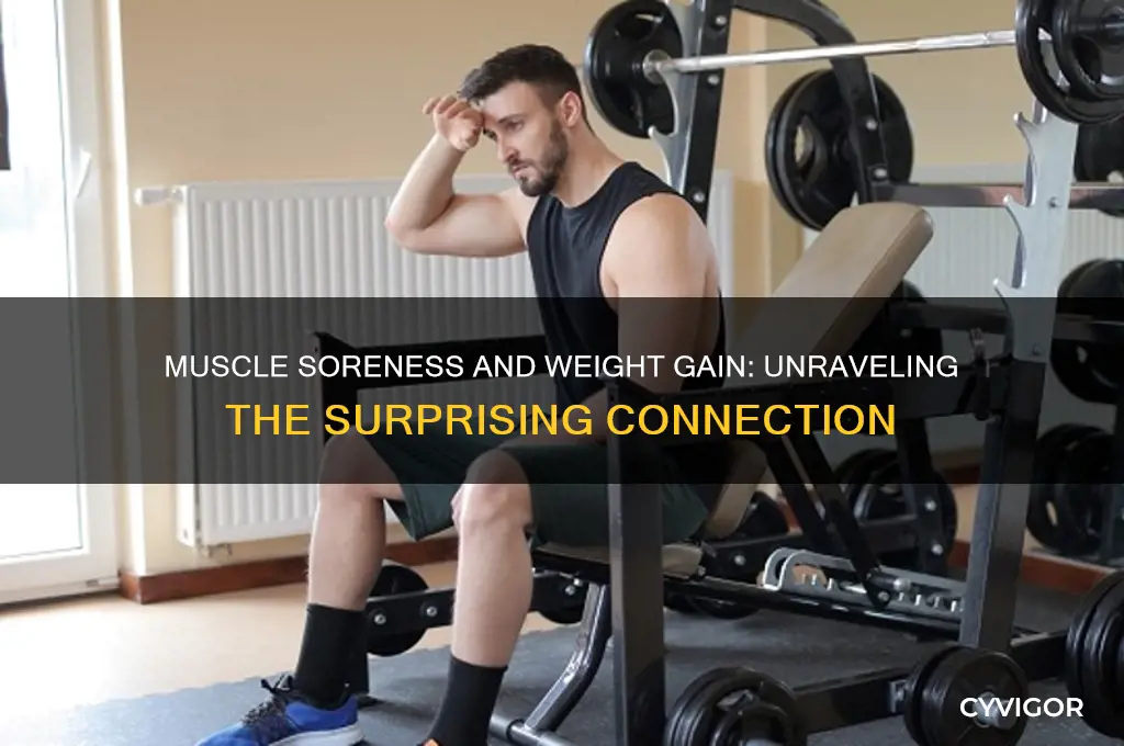 can muscle soreness make you gain weight