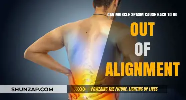 Muscle Spasms: Can They Throw Your Back Out of Alignment?