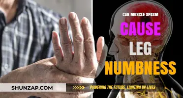 Muscle Spasms: A Cause of Leg Numbness?