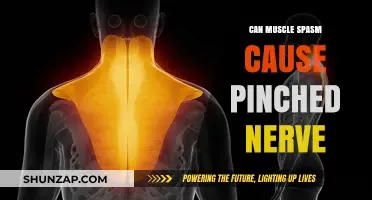 Muscle Spasms: A Cause of Pinched Nerves?