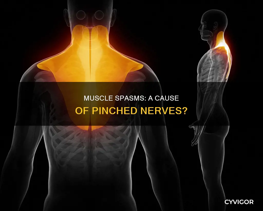 can muscle spasm cause pinched nerve