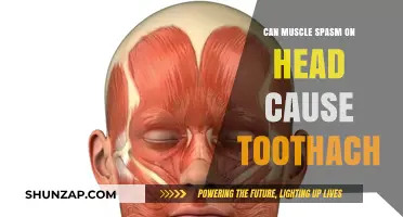 Head Muscle Spasms: A Surprising Cause of Toothaches
