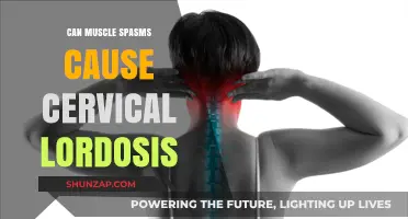Muscle Spasms: A Cause of Cervical Lordosis?