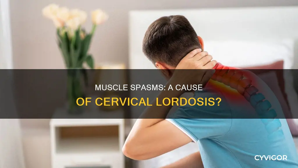 can muscle spasms cause cervical lordosis