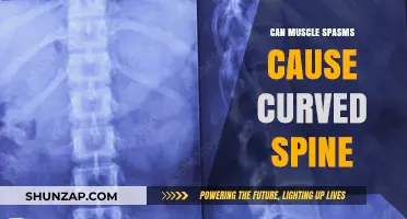 Muscle Spasms: A Cause of Curved Spine?