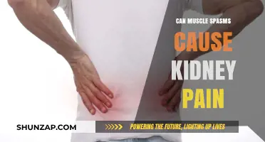 Muscle Spasms: A Surprising Cause of Kidney Pain?