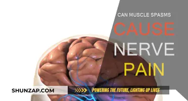 Muscle Spasms: A Surprising Source of Nerve Pain?