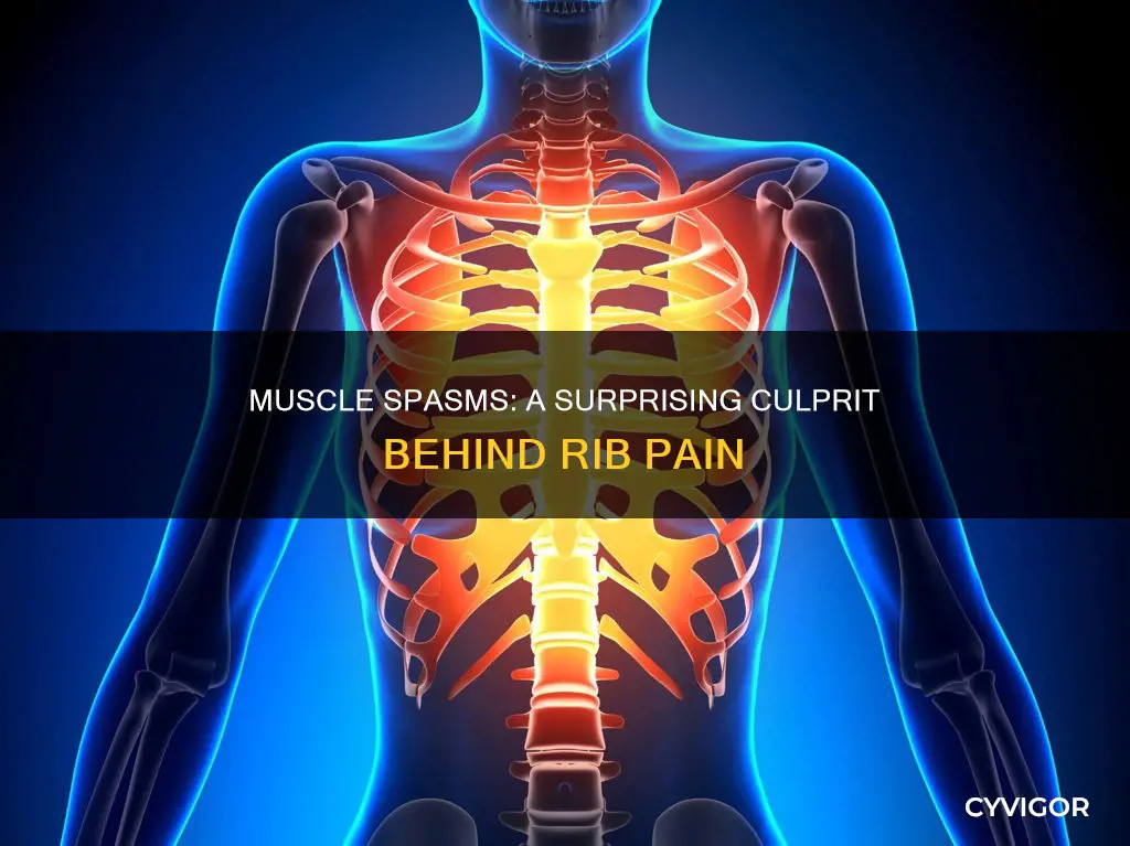 can muscle spasms cause rib pain