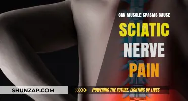 Muscle Spasms: A Trigger for Sciatic Nerve Pain?
