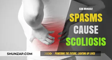 Muscle Spasms: A Cause or Symptom of Scoliosis?