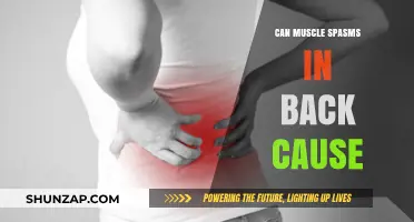 Back Muscle Spasms: What Are the Causes?