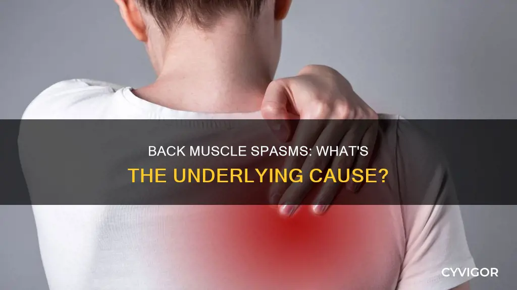 can muscle spasms in bvack cause