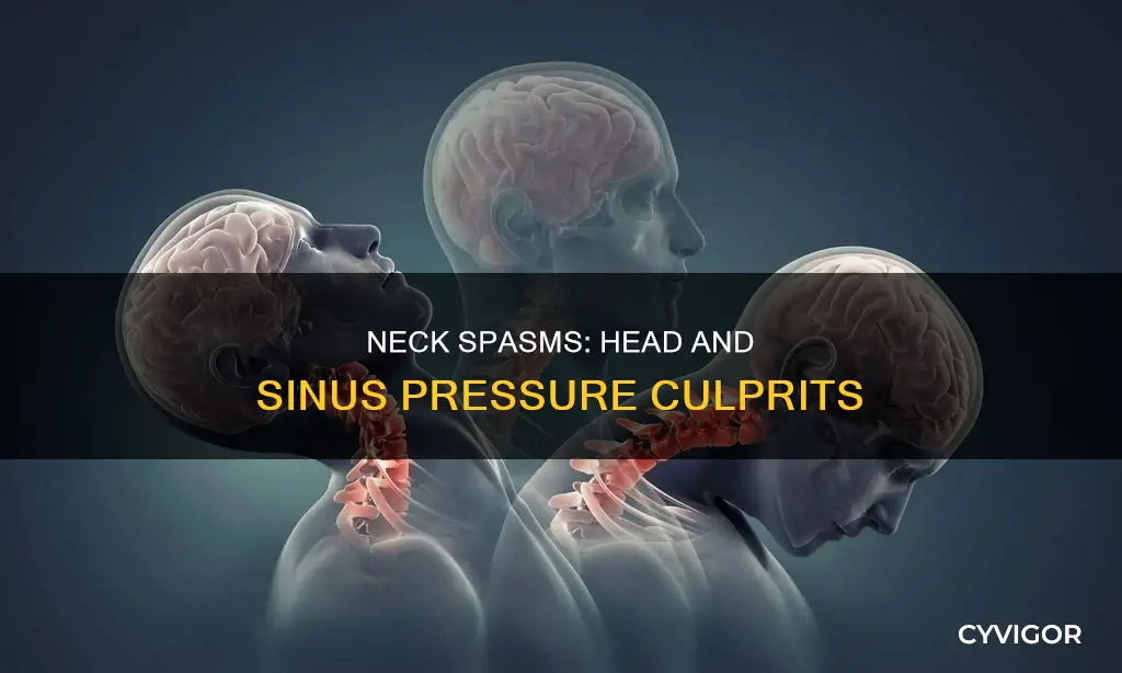can muscle spasms in neck cause head and sinus pressure