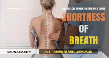 Back Spasms: Can They Cause Breathing Problems?
