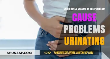 Perineal Muscle Spasms: Urinary Problems and Solutions