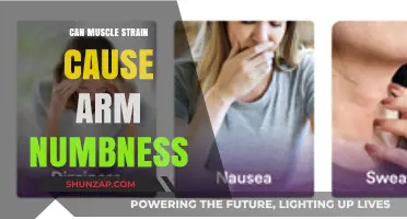 Muscle Strain: A Cause of Arm Numbness?