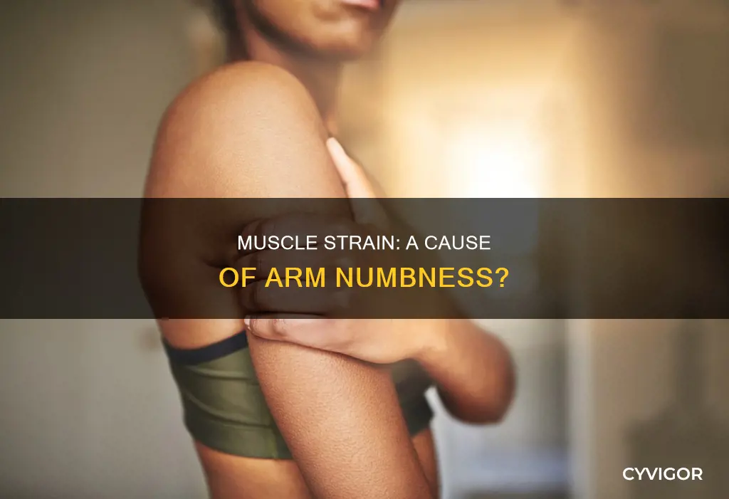 can muscle strain cause arm numbness