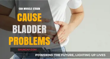 Muscle Strain and Bladder Problems: Is There a Link?