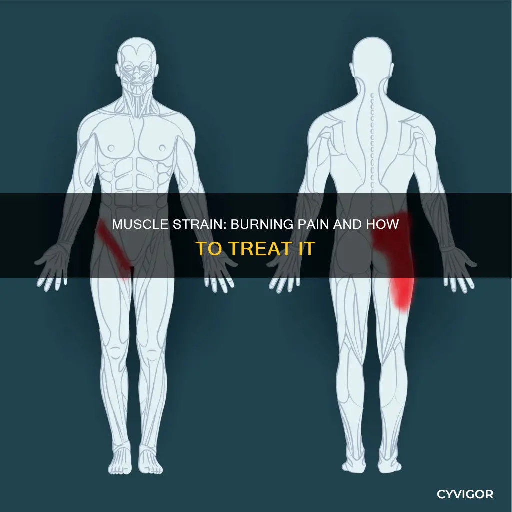 can muscle strain cause burning pain
