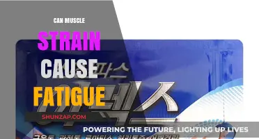 Muscle Strain and Fatigue: What's the Connection?