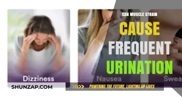 Muscle Strain and Urination: Is There a Link?