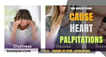 Muscle Strain and Heart Palpitations: Is There a Link?
