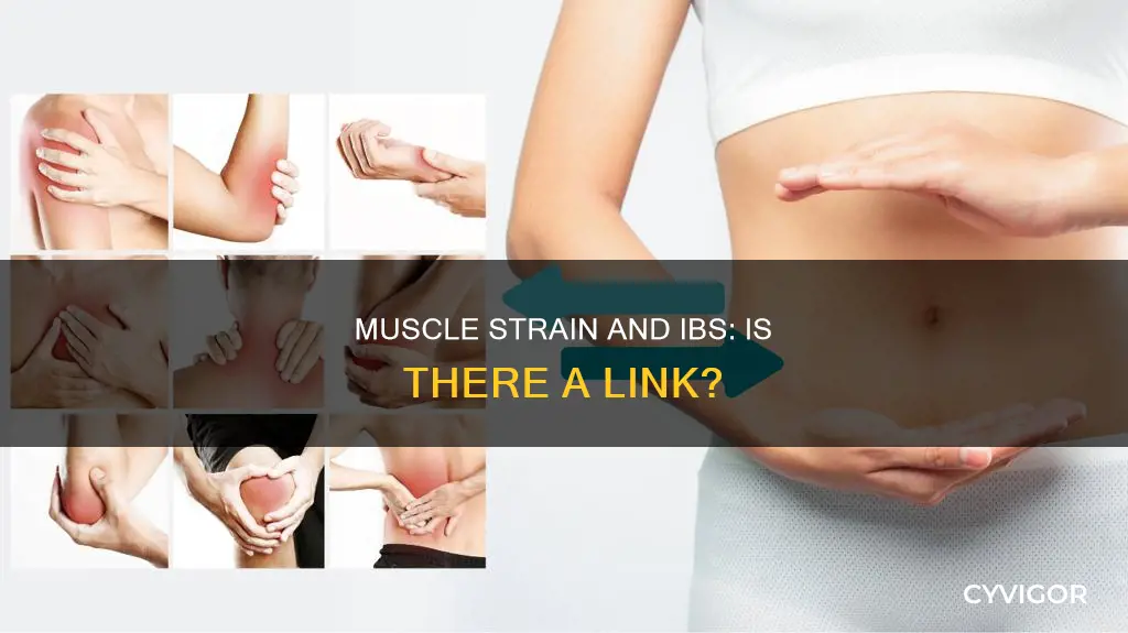 can muscle strain cause ibs