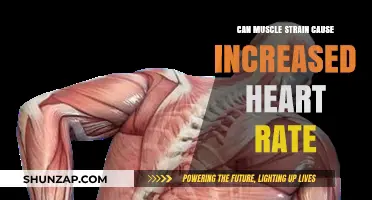 Heart Rate and Muscle Strain: What's the Link?
