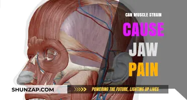 Jaw Pain and Muscle Strain: What's the Link?