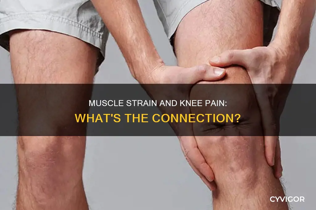 can muscle strain cause knee pain