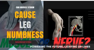 Muscle Strain and Leg Numbness: What's the Connection?