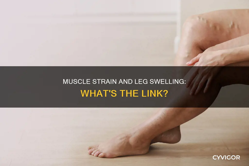 can muscle strain cause leg swelling
