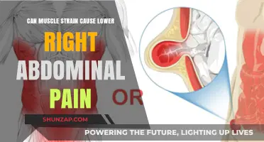 Muscle Strain and Lower Right Abdominal Pain: What's the Link?