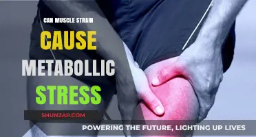 Muscle Strain and Metabolic Stress: What's the Link?