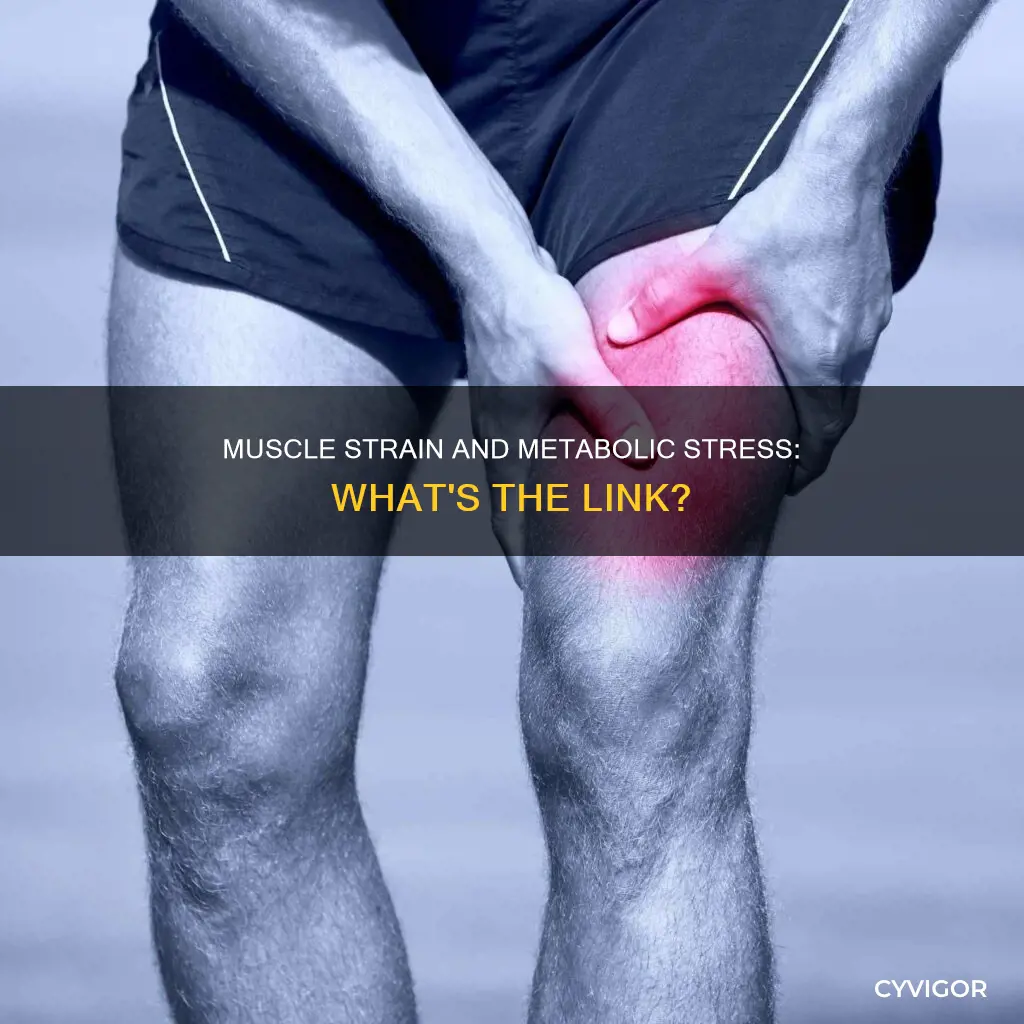 can muscle strain cause metabollic stress
