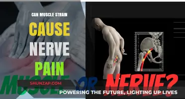 Muscle Strain and Nerve Pain: What's the Link?