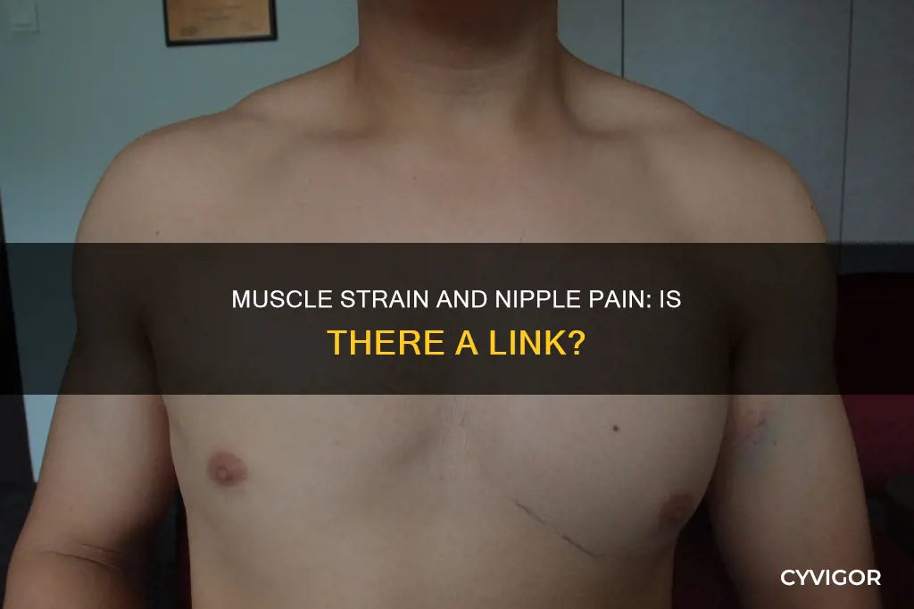 can muscle strain cause nipple pain