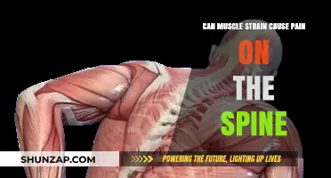 Muscle Strain: Spine Pain and Its Causes
