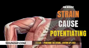 How Muscle Strain Leads to Potentiation