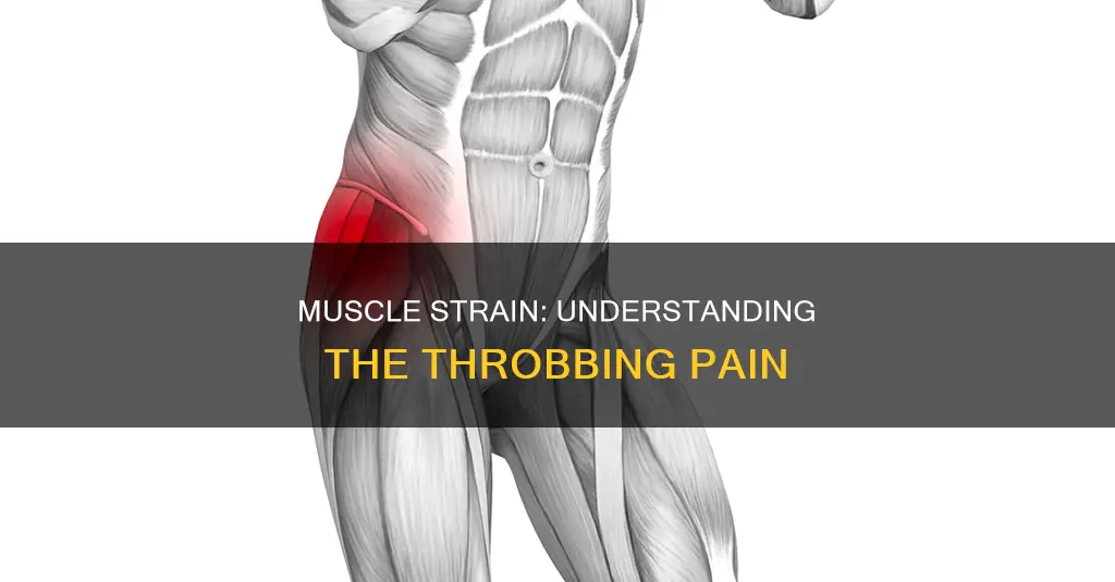 can muscle strain cause throbbing