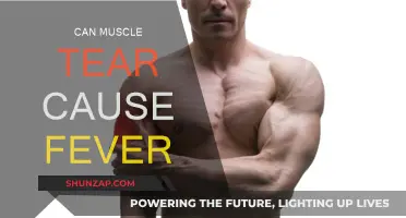 Muscle Tears: A Feverish Consequence?