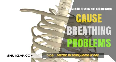 Muscle Tension and Its Impact on Breathing