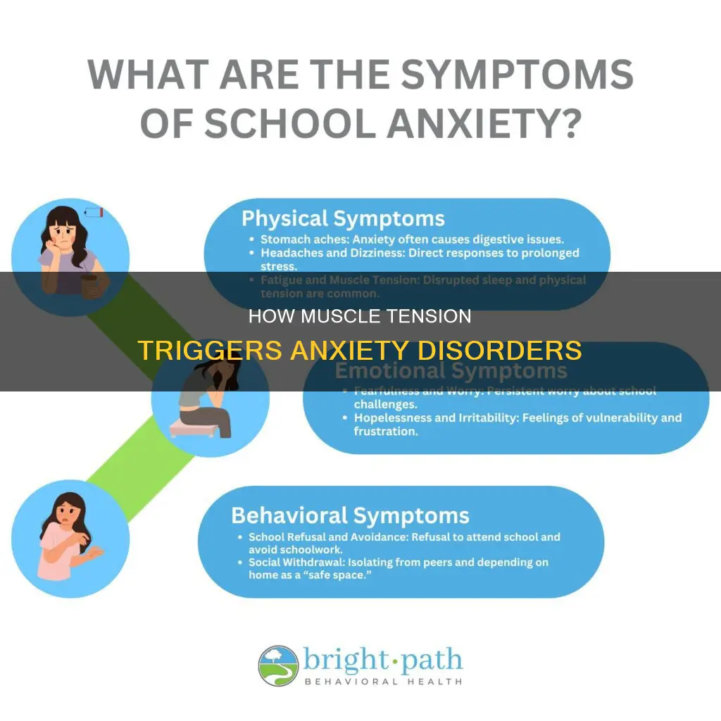can muscle tension cause anxiety