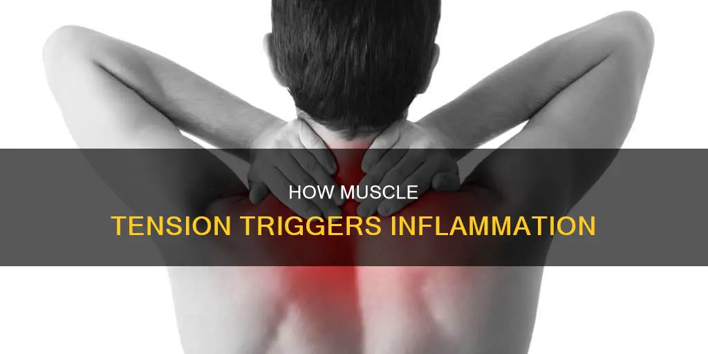 can muscle tension cause inflammation