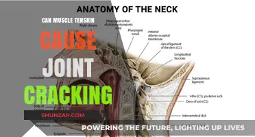How Muscle Tension Leads to Joint Cracking