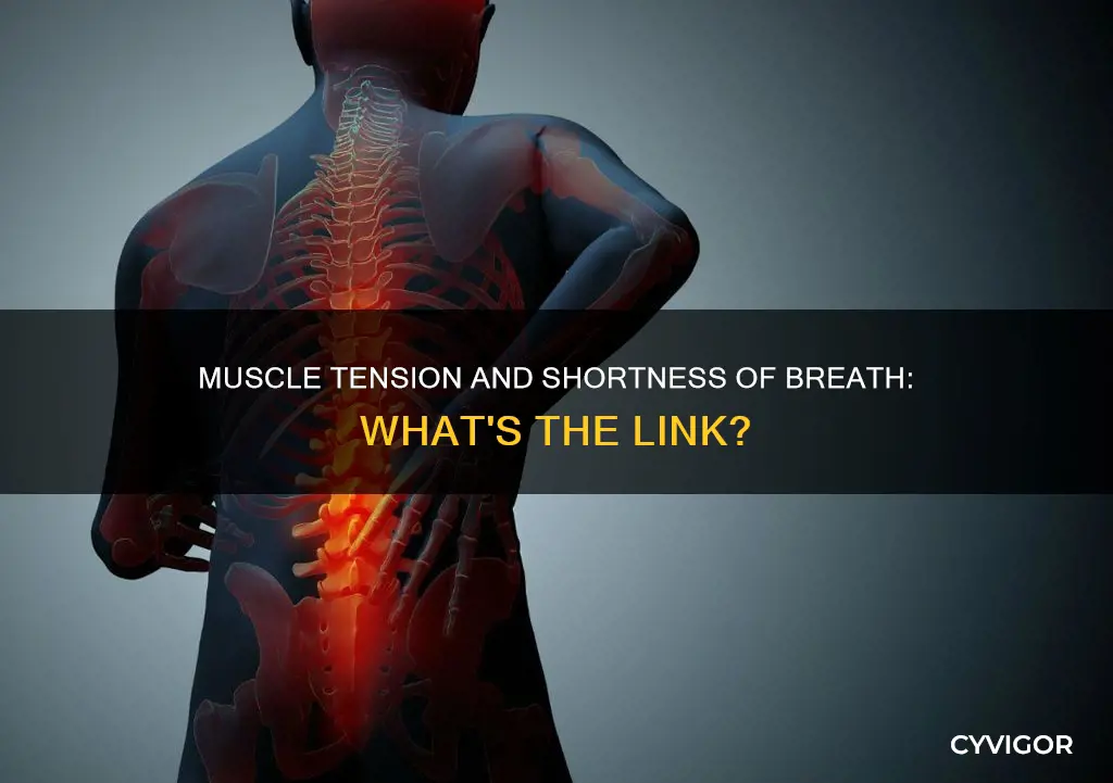 can muscle tension cause shortness of breath