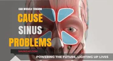 Muscle Tension and Sinus Problems: Is There a Link?