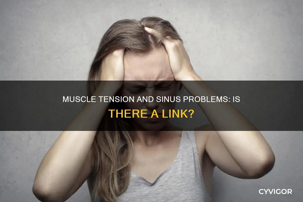 can muscle tension cause sinus problems